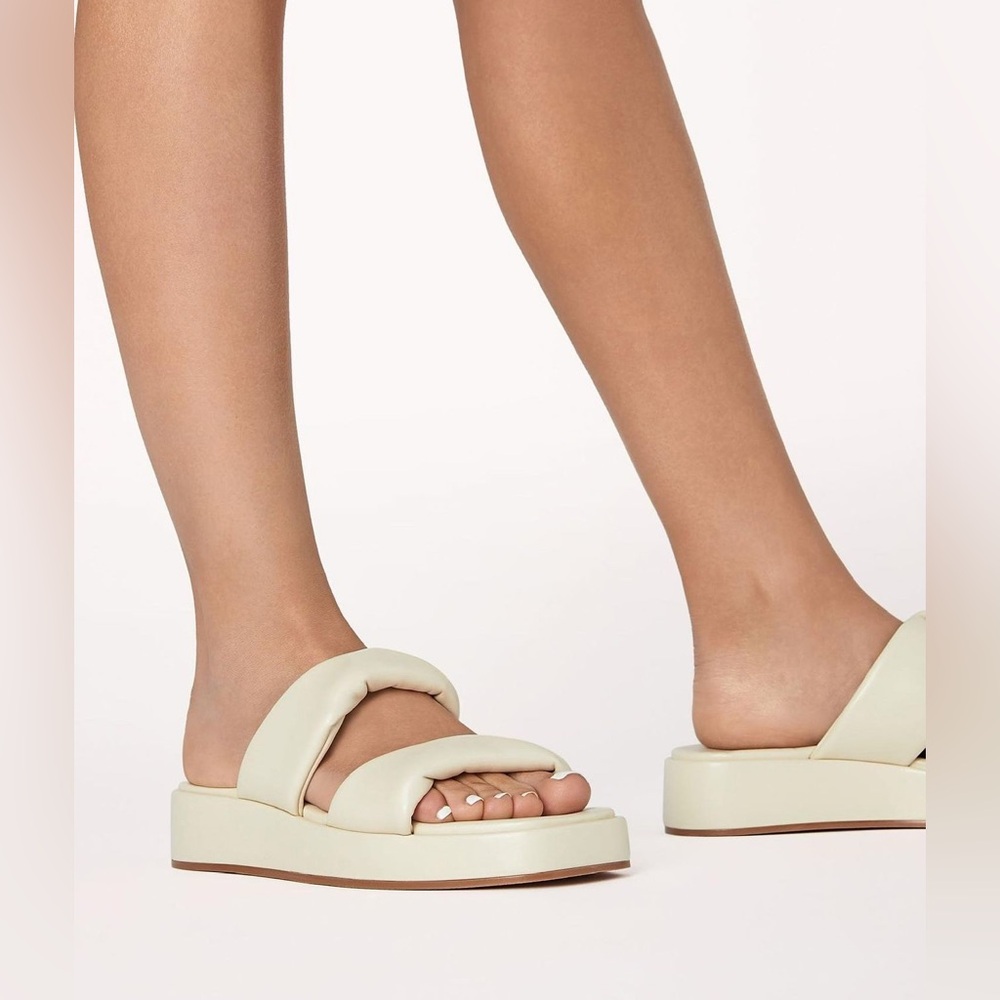 Brand new in box — Cory bone